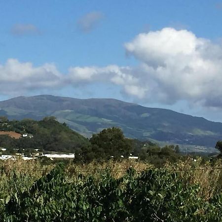Villa Familia Ponta Delgada  Bagian luar foto