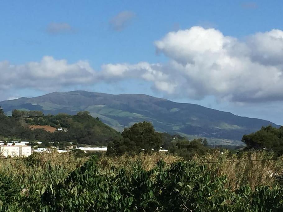 Villa Familia Ponta Delgada  Bagian luar foto